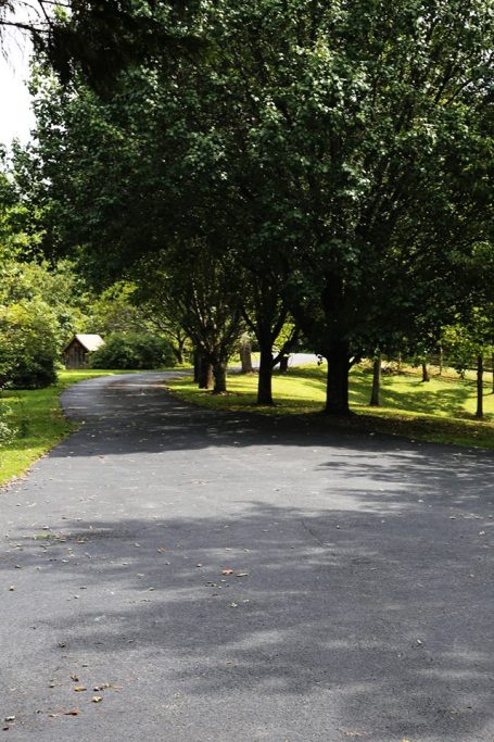 Winding driveway surrounded by lush green trees and grass.