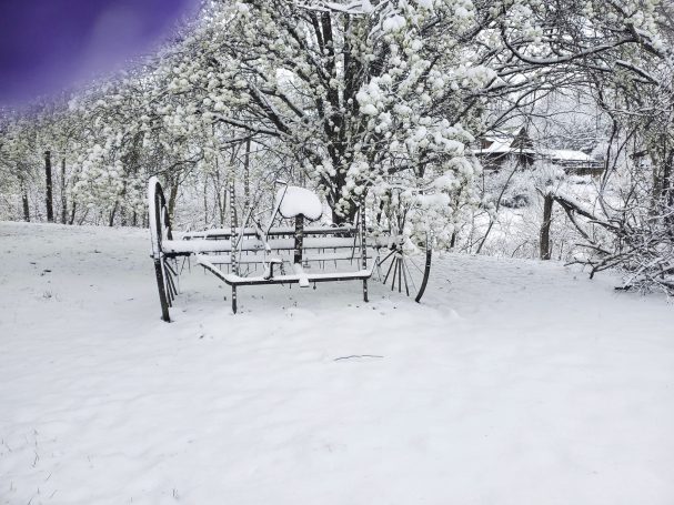 A snow-covered bench surrounded by trees in a winter landscape.