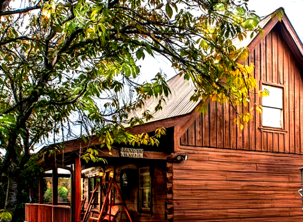 Rustic wooden house surrounded by lush greenery and trees.